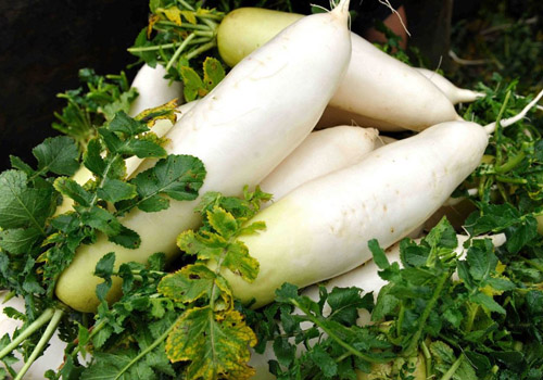 萝卜能和虾一起吃吗,萝卜和虾一起吃多少合适