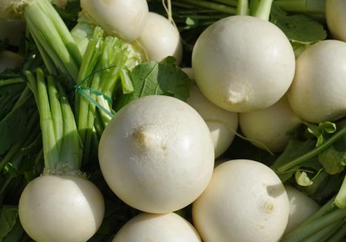 做酸萝卜要放水吗,酸萝卜加水会变坏吗