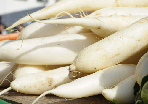 阿胶和萝卜能一起吃吗,阿胶和萝卜一起吃有什么影响