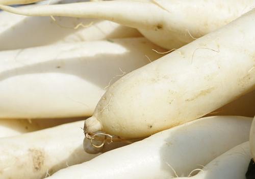 阿胶和萝卜能一起吃吗,阿胶和萝卜一起吃有什么影响