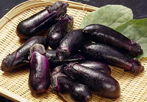 茄子有点烂了可以吃吗,茄子怎么判断坏没坏